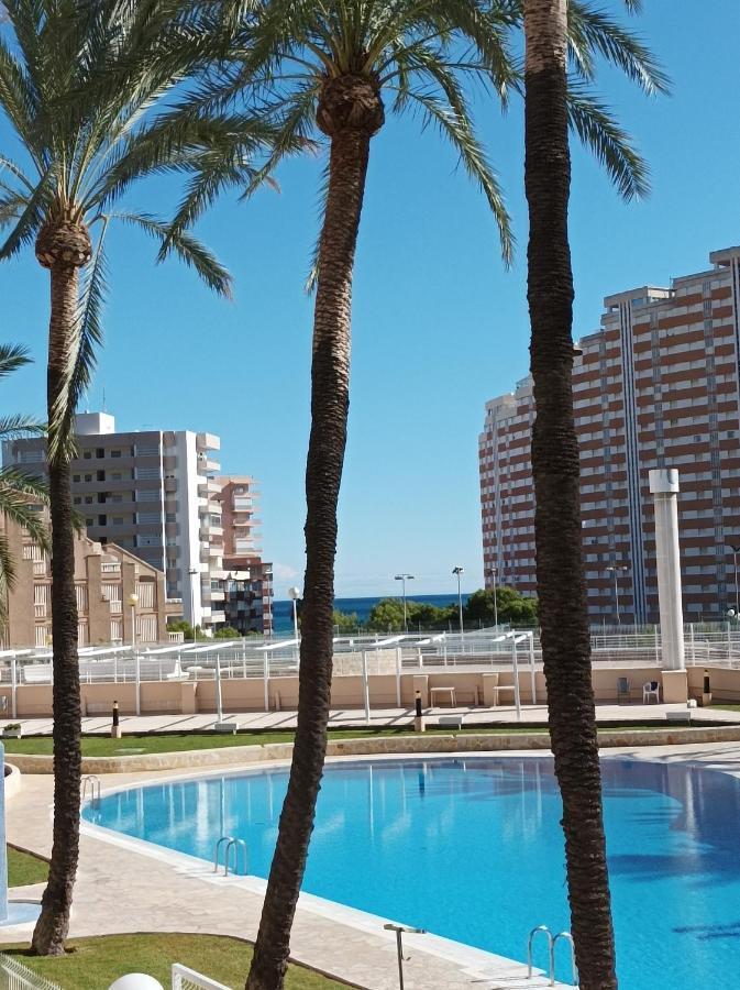 Almar Collection Bahia Park Apartment *